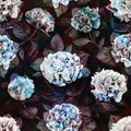 Vintage floral pattern gothic hydrangea flowers watercolor seamless repeating abstract background, hortensia in dark Royalty Free Stock Photo