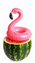 Watermelon fruit with pink inflatable flamingo pool float isolated on white background Royalty Free Stock Photo