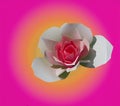 Generated painting of bonica shrub rose Royalty Free Stock Photo