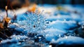 The Art of Winter Detailed Macro Snowflake with Bokeh Effect