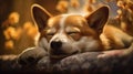 Blissful Canine Corgi Dog Finds Relaxation in Spa - Generative AI