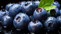 Blueberry Fruits Top-Down View Fresh Texture Healthy Living Royalty Free Stock Photo