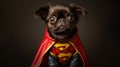 The Brave Brussels Griffon Unleash the Power of Cuteness - Experience the courage and loyalty of a Brussels Griffon dog in a