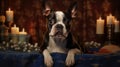 Candlelit Serenity Boston Terrier Dog Relaxing in a Spa Studio - Generative AI