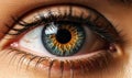 Captivating Female Eye Close-Up Macro with Fashionable Natural Makeup Royalty Free Stock Photo