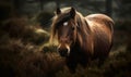 close up photo of Dartmoor breed of pony on blurry forest background. Generative AI