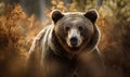 close up photo of grizzly bear on blurry forest background. Generative AI