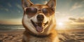 Cool Canine Shiba Inu Dog Wearing Sunglasses and Sporting a Funny Expression on the Sandy Beach. Generative AI