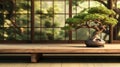 Empty wooden counter table green bonsai tree in traditional Japanese room with shoji window and wall tatami mat floor in sunlight Royalty Free Stock Photo