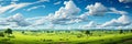 Expansive lush green field under a vibrant blue sky with fluffy white clouds surrounded by a line of trees on the horizon Royalty Free Stock Photo