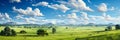 Expansive lush green field under a vibrant blue sky with fluffy white clouds surrounded by a line of trees on the horizon Royalty Free Stock Photo