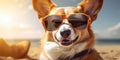 Funny and Cute Pembroke Welsh Corgi Dog with Sunglasses and a Beachy Vibe. Generative AI Royalty Free Stock Photo