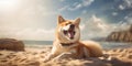 Happiness Unleashed Smiling Shiba Inu Dog Adding Joy and Cuteness to the Beach Scene. Generative AI Royalty Free Stock Photo