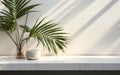 Modern minimal empty white marble stone counter table top bamboo palm tree in sunlight leaf shadow on wall background for luxury Royalty Free Stock Photo