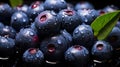 Organic Huckleberry Bliss Sweetness from Above and Healthful Living