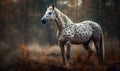 photo of Appaloosa in its natural habitat. Generative AI Royalty Free Stock Photo