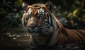 photo of Bengal tiger standing in water. Generative AI Royalty Free Stock Photo