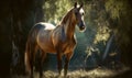 photo of Hackney show horse in its natural habitat. Generative AI Royalty Free Stock Photo