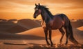 Photo of horse a majestic Arabian breed standing tall and proud in the shimmering desert sand dunes and a breathtaking sunset Royalty Free Stock Photo