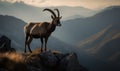 Photo of ibex majestically standing atop a rocky outcrop overlooking the steep mountain valley below. image showcases the ibexs Royalty Free Stock Photo