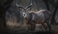 photo of kudu antelope in its natural habitat. Generative AI
