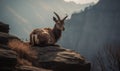 Photo of markhor Capra falconeri perched on a rocky outcrop overlooking a sprawling mountain range. images highlighs the markhors Royalty Free Stock Photo