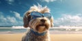 Playful Pooch Smiling Shih Tzu Dog Funny Sunglasses Beach Bliss. Generative AI Royalty Free Stock Photo