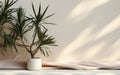 Soft beige cotton tablecloth on counter table tropical dracaena tree in sunlight on white wall background for luxury fresh organic