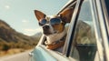 Sun-Kissed Adventures Cute Chihuahua Dog with Shades and Leash on Summer Road Trip - Generative AI Royalty Free Stock Photo