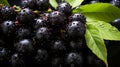 Top-View Elderberry Pile Fresh Texture & Healthy Lifestyle