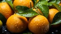 Top view of pile of fresh mandarins with water spots healthy food background