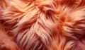 Vibrant peach toned textures resembling luxurious animal fur or sophisticated abstract fabric in high definition detail for