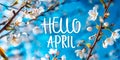 Welcome Spring Concept with HELLO APRIL Text Overlay on Blooming Cherry Blossoms and Soft Blue Sky Background Royalty Free Stock Photo