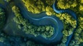 Generative AI Abstract aerial top view of winding river Aa in forest Starkriet SomerenEind NoordBrabant Netherland Royalty Free Stock Photo