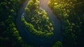 Generative AI Abstract aerial top view of winding river Aa in forest Starkriet SomerenEind NoordBrabant Netherland Royalty Free Stock Photo