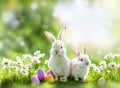 [Generative AI] Adorable rabbits sitting on grass aside of Easter eggs and daisy flowers against a bokeh background.