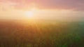 Generative AI Aerial panoramic view of hazy sunset over lush primary forest in Halmahera Indonesia business concep