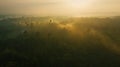 Generative AI Aerial panoramic view of hazy sunset over lush primary forest in Halmahera Indonesia business concep