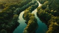 Generative AI Aerial top view of winding river Aa in forest Starkriet SomerenEind NoordBrabant Netherlands busines Royalty Free Stock Photo