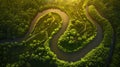 Generative AI Aerial top view of winding river Aa in forest Starkriet SomerenEind NoordBrabant Netherlands busines Royalty Free Stock Photo