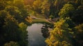 Generative AI Aerial view of trees and open strip with small pond in forestry Hardenberg Rheeze Vechtdal Overijsse