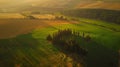 Generative AI Aerial view of wheat fields and a small pine forest lower Galilee Northern District Israel business