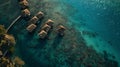 Generative AI Aerial view of wooden huts from a luxury hotel along the reef in Tahiti French Polynesia business co