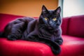 A beautiful black cat. Shadows and Whispers. The Enchanting Allure of the Black Cat. Generative AI Royalty Free Stock Photo