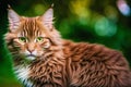 A beautiful cat. Feline Charm. The Enigmatic World of Cats. Generative AI