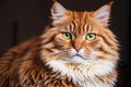 A beautiful cat. Feline Charm. The Enigmatic World of Cats. Generative AI