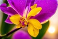 A beautiful orchid flowers. Blooming Splendor. The Enchanting World of Orchids. Generative AI