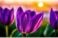 Generative AI art with A beautiful tulip flowers. Blooming Splendor. The Enchanting World of Tulips. Generative AI