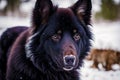 Portrait of a beautiful Belgian Shepherd dog in the park. Belgian Malinois. Generative AI Royalty Free Stock Photo