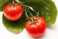 Red tomatoes with green leaves on a white background. Close-up. Healthy food concept. Generative AI Royalty Free Stock Photo